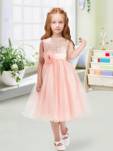 Beauteous Baby Pink Sleeveless Organza Zipper Toddler Flower Girl Dress for Wedding Party