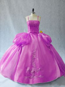 Sleeveless Lace Up Floor Length Appliques Quinceanera Dress