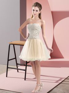 Champagne Sleeveless Tulle Zipper Homecoming Dress for Prom and Party