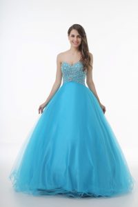 Nice Baby Blue Sleeveless Tulle Lace Up 15th Birthday Dress for Sweet 16 and Quinceanera