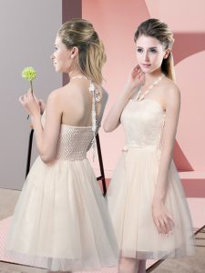 Champagne A-line Lace Prom Party Dress Side Zipper Tulle Sleeveless Mini Length