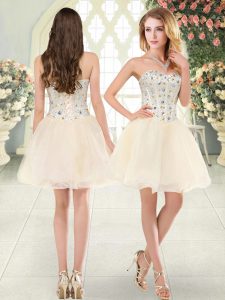 Sweetheart Sleeveless Lace Up Dress for Prom Champagne Tulle