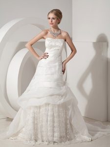 Beautiful Strapless Appliqued Wedding Dress in Organza and Lace for Less