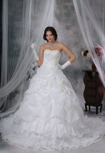 Essential Beaded Appliqued Wedding Gown in Organza