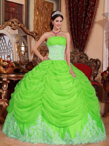 Spring Green Strapless Organza Beaded 2014 Quinceanera Dress with Ruching