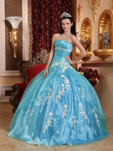 Beautiful Strapless Organza Quinceanera Dress woith Appliques on Promotion