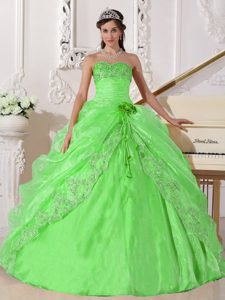 Spring Green Strapless Organza Beaded Quinceanera Dresses with Embroidery