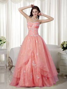 Sweetheart Long Princess Baby Pink Organza Appliqued Celebrity Dress