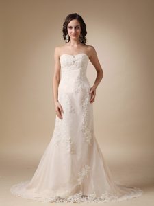 Charming Sweetheart Lace-up Court Train and Lace Dress for Brides