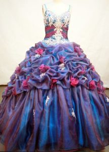 Exquisite Ball Gown Organza Dresses for Quince with Pick Ups and Appliques
