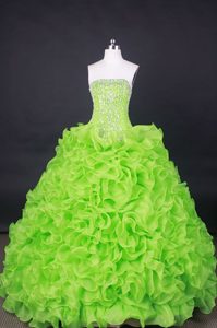 Spring Green Flattering Beading Quinces Dresses in Organza with Rolling Flowers
