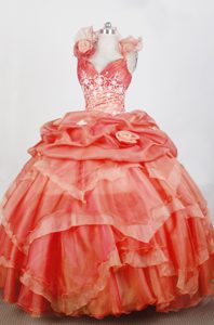 Gorgeous Sweetheart Quinceanera Dress with Pick-ups and Appliques on Sale