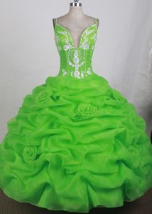 Spring Green Sweet Sixteen Quinceanera Dress in Organza with Sweetheart