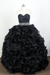 Luxurious Black Ball Gown 2013 Quinces Dress with Sweetheart in Organza