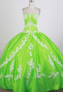 Hot Spring Green Quinceanera Dress in and Organza with Appliques