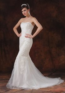 Mermaid Strapless Brush Train Tulle Garden Wedding Dresses with Appliques