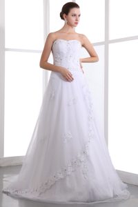 Strapless Brush Train Princess Tulle Beach Wedding Dresses with Appliques