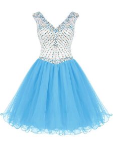 Classical Baby Blue Sleeveless Organza Zipper Club Wear for Prom and Party