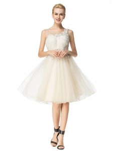 Scoop Knee Length Champagne Cocktail Dresses Organza Sleeveless Beading