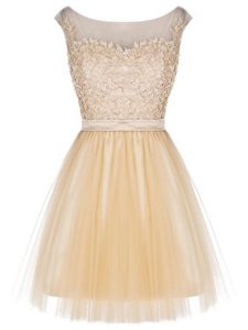 Colorful Champagne Tulle Zipper Cocktail Dresses Sleeveless Mini Length Lace