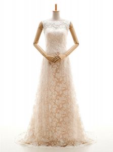 Champagne Sleeveless Sweep Train Lace With Train Bridal Gown