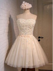 Champagne Organza Lace Up Prom Evening Gown Sleeveless Mini Length Appliques