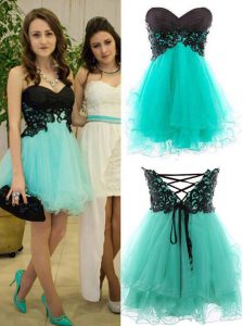 Sleeveless Appliques Zipper Prom Gown