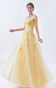 Dressy Light Yellow A-line Embroidered Organza Prom Court Dress for Winter