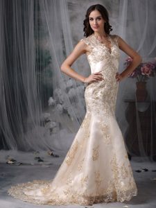 Discount Mermaid V-neck Brush Organza Wedding Dresses with Embroidery