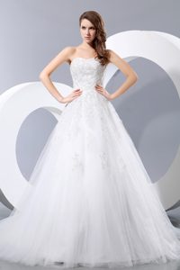Cute and Tulle Wedding Dress with Chapel Train for Wholesale Price
