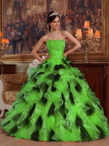 Green and Black Strapless Organza 2014 Sweet Sixteen Quinceanera Dress