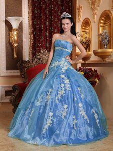 Beautiful Strapless Organza Quinceanera Gown Dresses with White Appliques