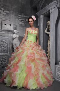 Ball Gown Strapless and Organza Flowers Multi-color Quince Dresses