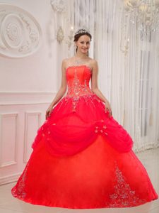Coral Red and Tulle Appliqued 2013 Impressive Dress for Quinceanera