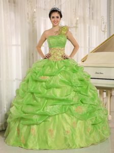 Exclusive Spring Green One Shoulder Quince Dress with Embroidery and Pick-ups