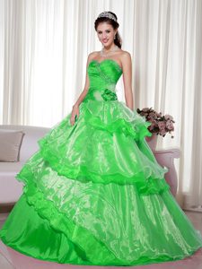 Romantic Spring Green Quinceanera Dresses in and Organza with Flowers