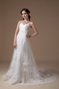 Fashionable Sweetheart Brush Train Tulle and Lace Bridal Gowns for Spring