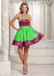Romantic Spring Green Zebra Zipper-up Homecoming Queen Dress for Fall