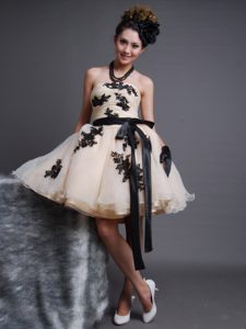 Appliqued Organza A-Line homecoming Cocktail Dresses in Champagne with Sash