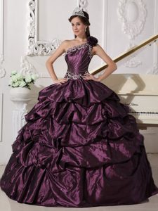 Dark Purple Ball Gown One Shoulder Dress for Quince in with Pick Ups