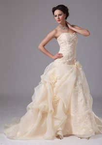 Champagne Sweetheart Embroidery Wedding Dresses with Handle Flowers