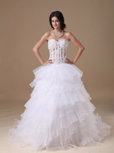 Luxurious A-line Sweetheart Organza Dresses for Wedding with Chapel Train
