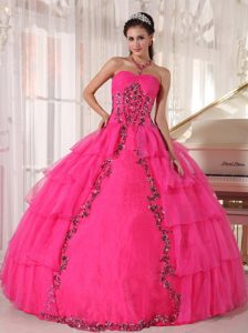 Beautiful Hot Pink Organza Quinceanera Dresses with Appliques on Promotion
