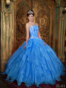 2013 Gorgeous Organza Blue Sweet Sixteen Quinceanera Dress with Appliques