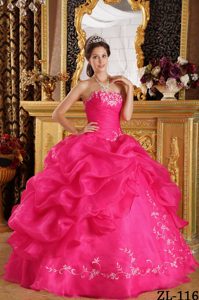 Strapless Organza Quinceanera Dress with Embroidery and Pick-ups Decorated