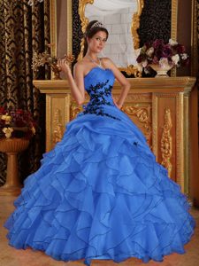 Blue 2013 Exquisite Sweetheart Long Organza Sweet 16 Dress with Appliques