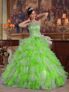 Spring Green Ruffled Strapless Long Appliqued Elegant Quince Dress for Fall