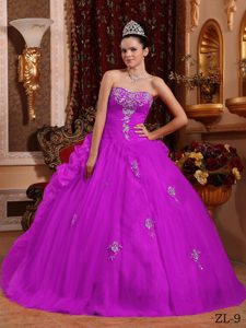 Sweet Fuchsia Sweetheart Beaded Quince Dresses with Appliques under 250