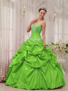 Special Sweetheart Long Quinceanera Dress in Spring Green