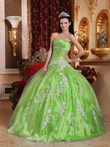 Charming Ruched and Appliqued Lace-up Yellow Green Long Dress for Quince